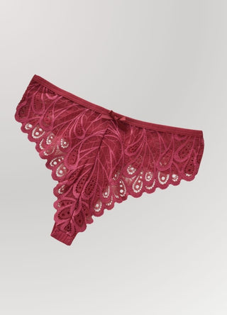 Paisley Dreams Cheeky